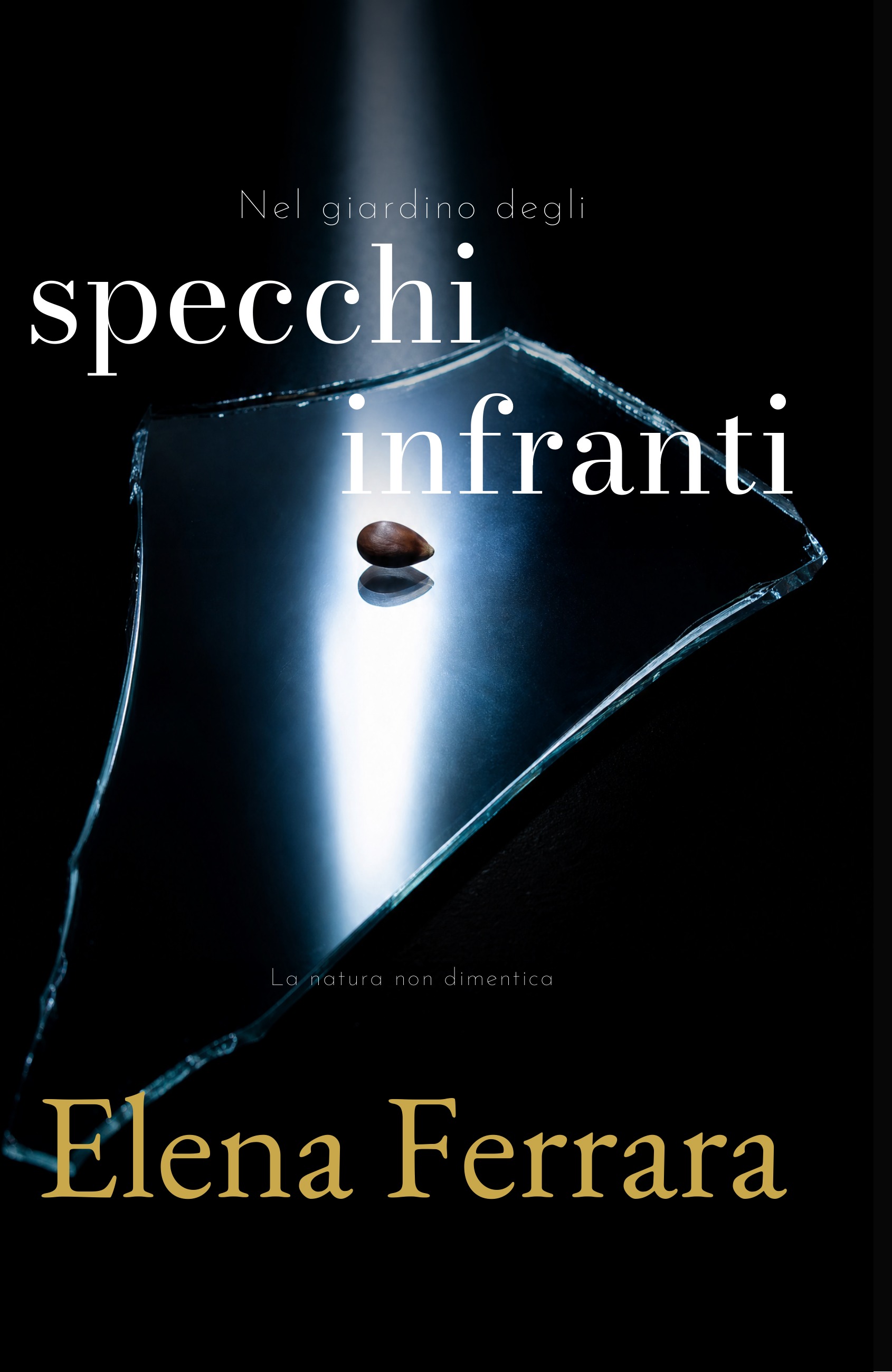 Buchcover: Nel giardino degli specchi infranti von Elena Ferrara